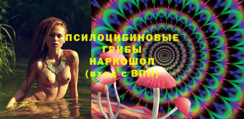 Псилоцибиновые грибы MAGIC MUSHROOMS  Щёкино 